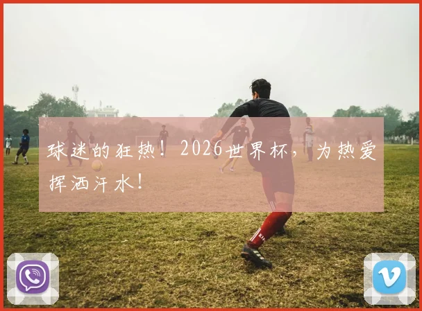 球迷的狂热!2026世界杯,为热爱挥洒汗水!