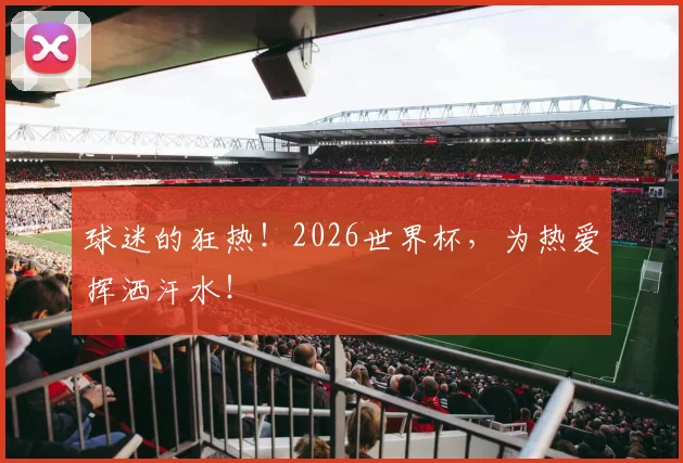 球迷的狂热!2026世界杯,为热爱挥洒汗水!
