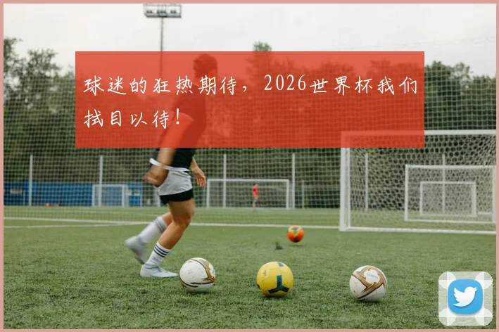 球迷的狂热期待,2026世界杯我们拭目以待!